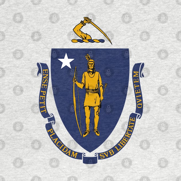 The Commonwealth of Massachusetts Flag by SolarCross